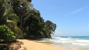A sandy beach with lush greenery and a clear blue sky. - Olguita s Place (Cahuita)