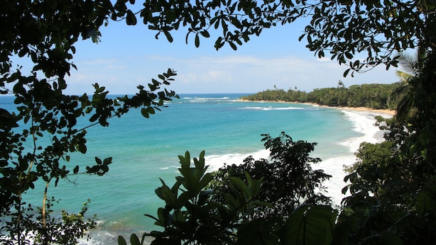 View from property - Olguita s Place (Cahuita)