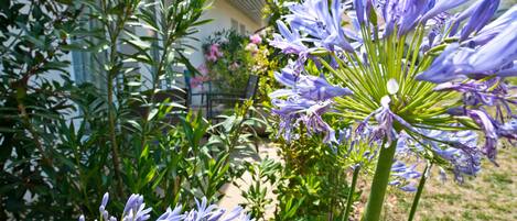 Een tuin met diverse planten en bloemen, waaronder paarse bloemen, voor een huis met een witte gevel en een raam.