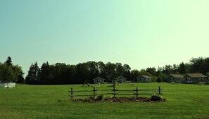 Property grounds - Centennial Cottages (Brackley Beach)