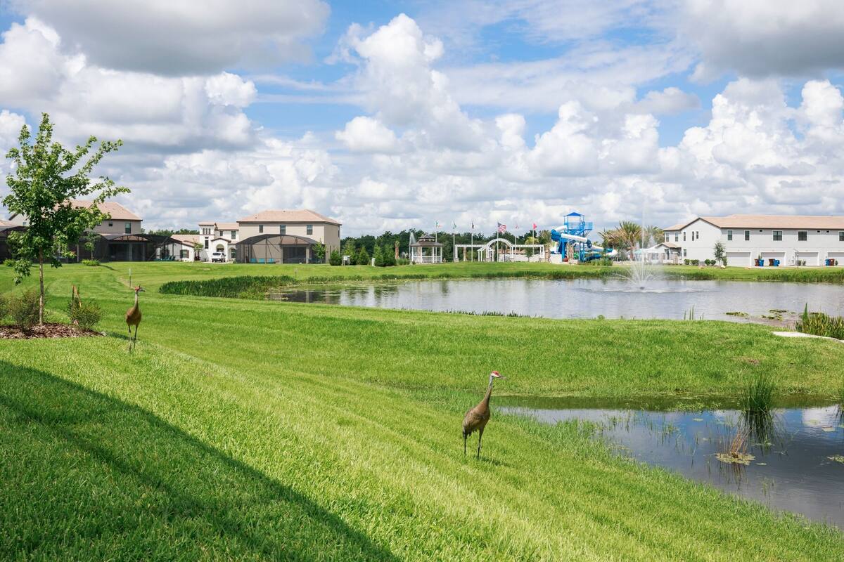 A grassy area with a pond and buildings in the background.