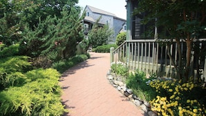 A pathway leading to a wooden house with a balcony, surrounded by lush greenery and yellow flowers.