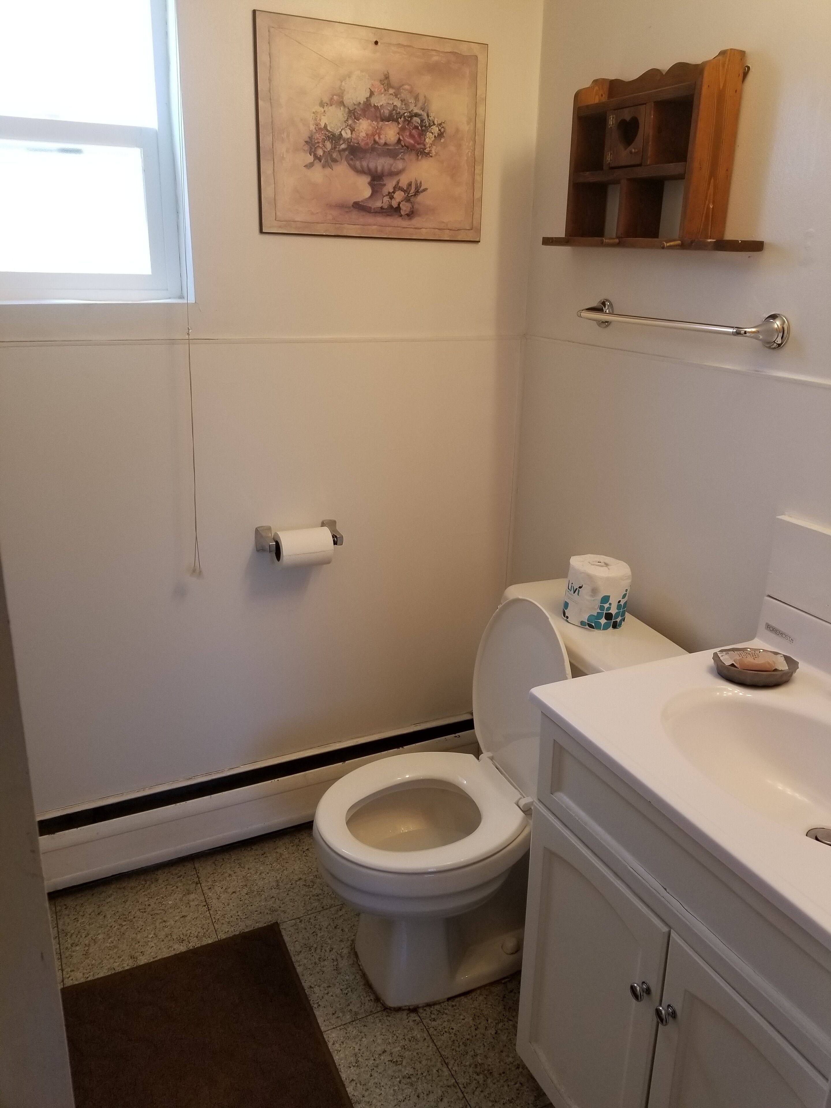 Een badkamer met een toilet, een wastafel, een spiegel, een handdoekhouder en een schilderij aan de muur.