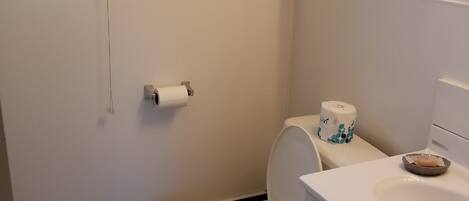 Een badkamer met een toilet, een wastafel, een spiegel, een handdoekhouder en een schilderij aan de muur.