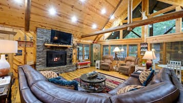 TV, fireplace, DVD player, books