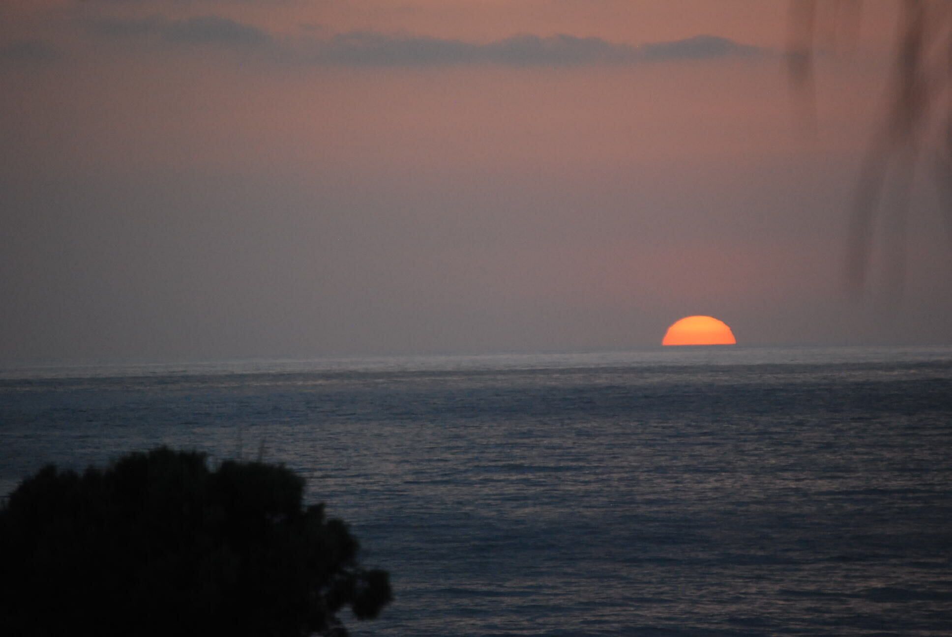 Un atardecer sobre un mar tranquilo con el perfil de árboles en primer plano.