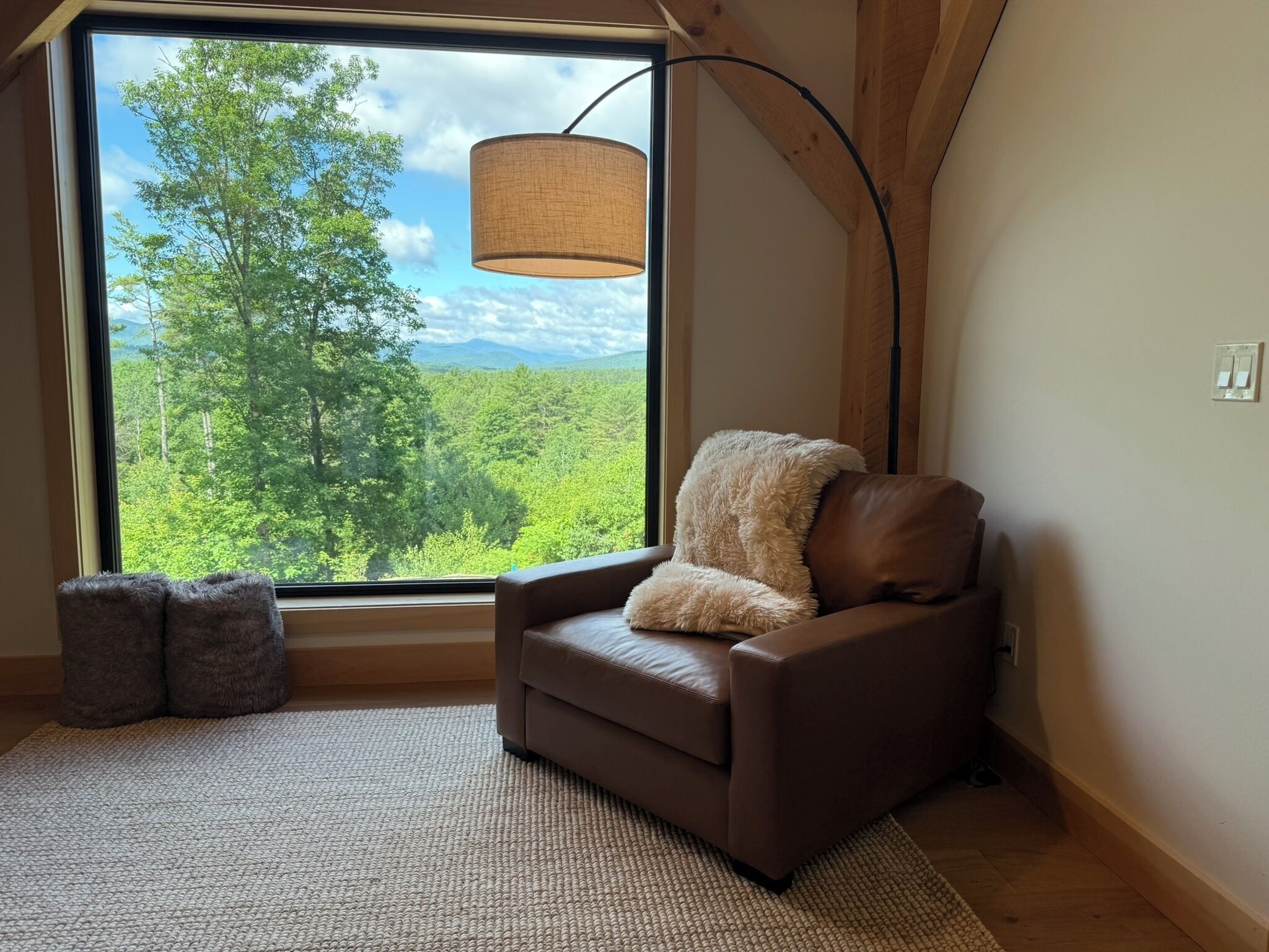 Smart TV, fireplace, Netflix, DVD player
