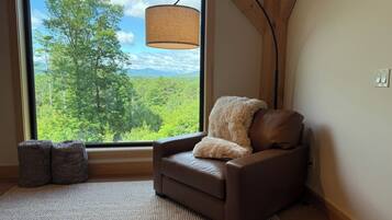 Smart TV, fireplace, Netflix, DVD player