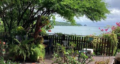 Villa with panoramic view on the islets of Robert and natural swimming pool