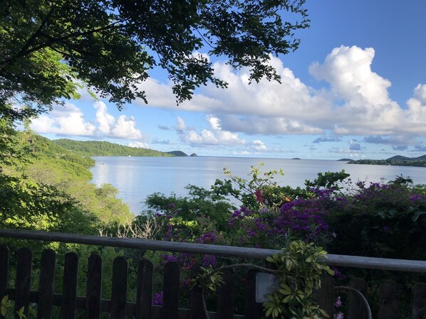 A view of a calm body of water with a wooden fence in the foreground, surrounded by lush greenery and purple flowers. - Villa with panoramic view on the islets of Robert and natural swimming pool (LE ROBERT)
