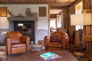 Télévision, cheminée, lecteur de DVD, livres