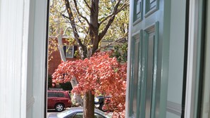 A doorway leading to a covered outdoor area with a tree and parked cars visible through the window. - Fabulous 1890 Victorian home on Capitol Hill; 100 steps to metro, #1 (Washington)