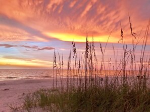 Ranta lähistöllä, aurinkotuoleja, rantapyyhkeitä
