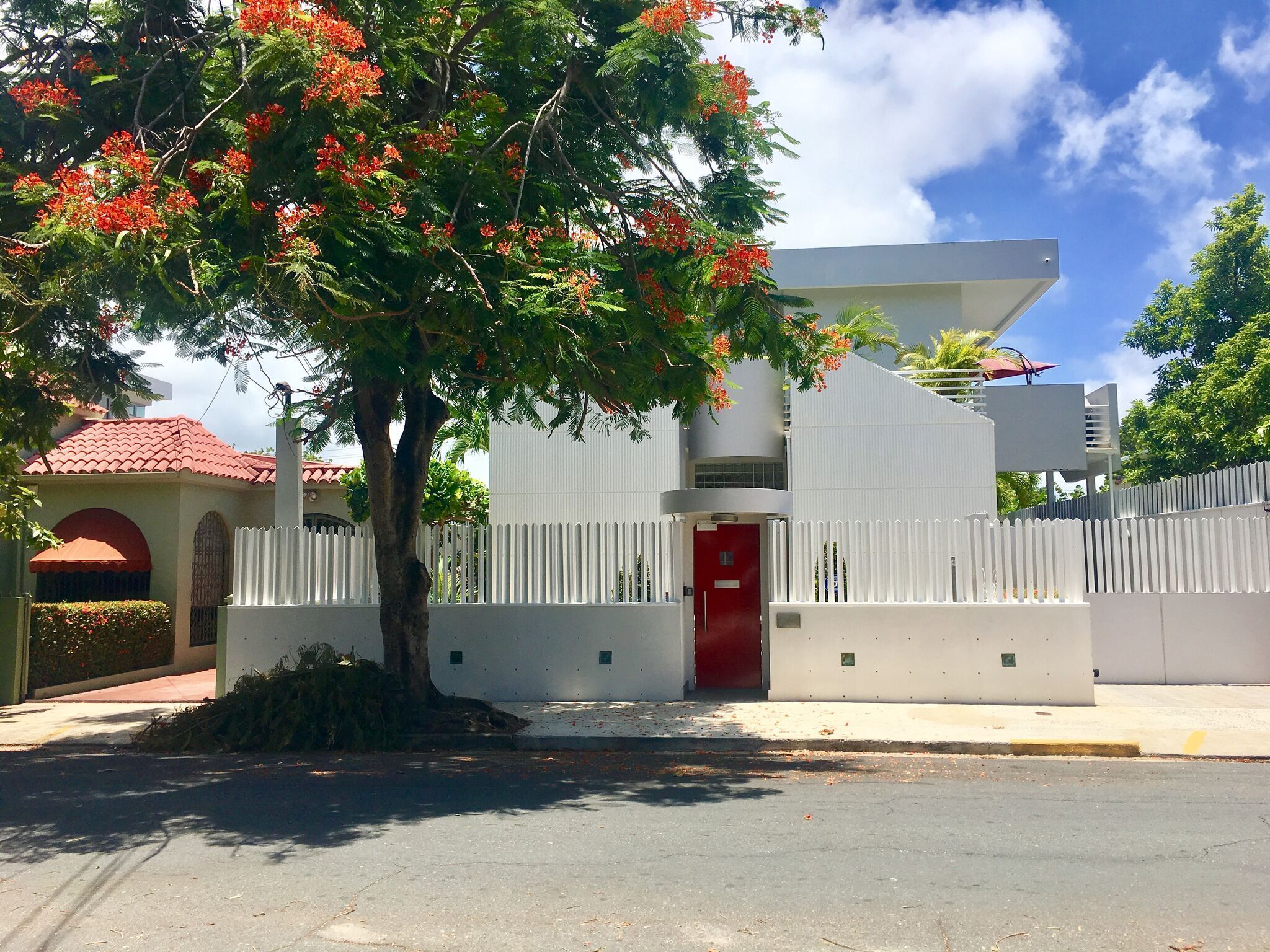 A modern building with a red door, white fence, and a tree with red flowers in front.