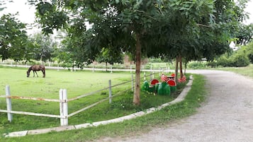 Property grounds
