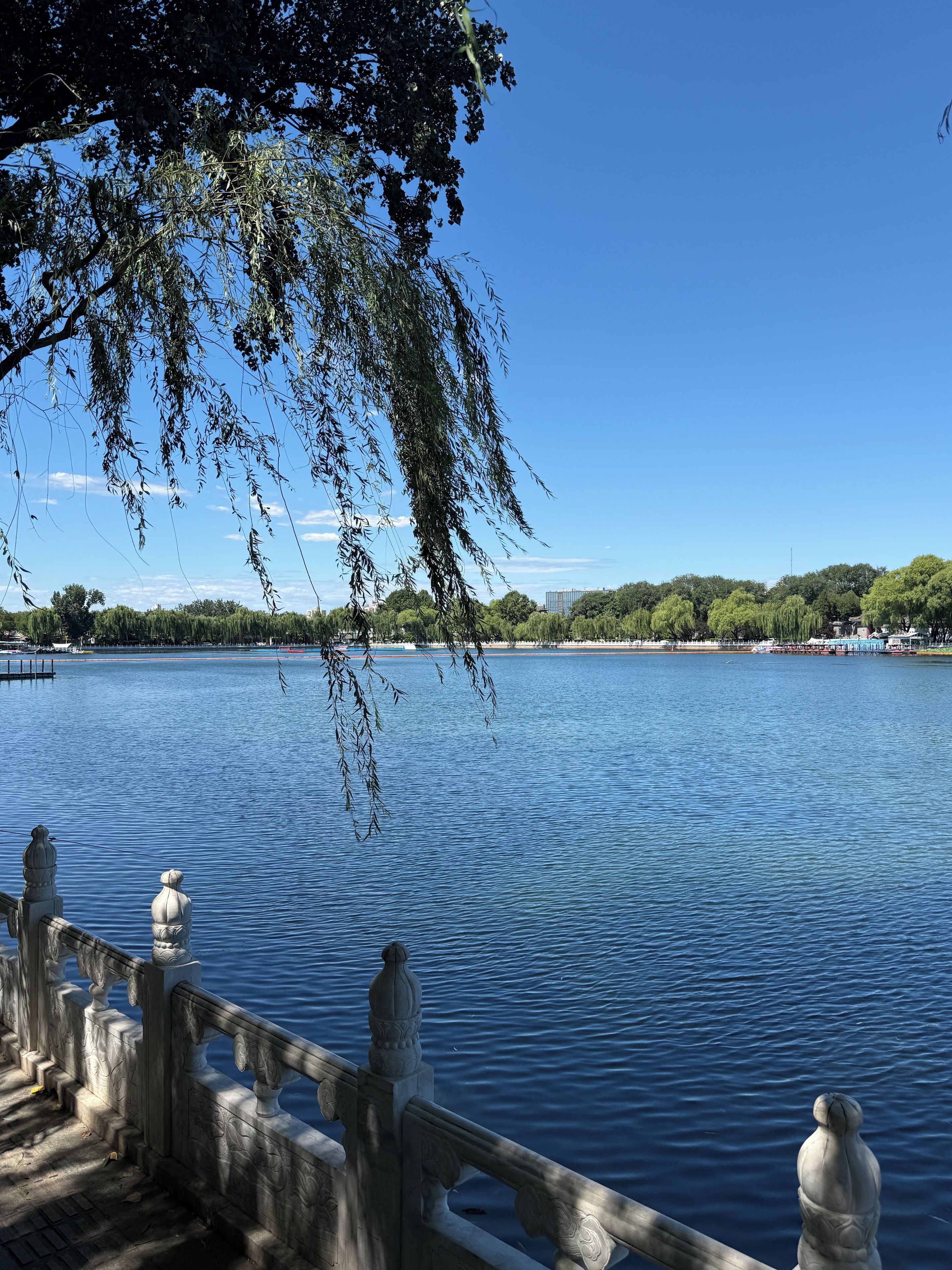 A calm lake with a stone railing and trees in the background.