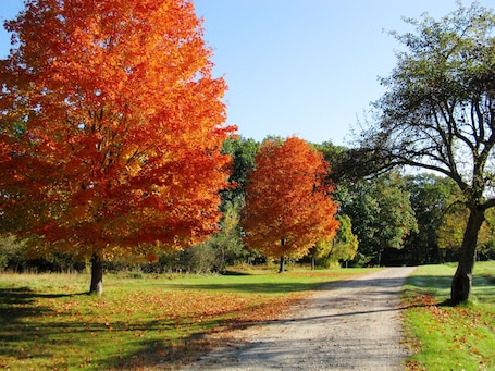 Property grounds. WINDABROOK Farm & Lodge - Recharge, Reset, Relax on 13 acres