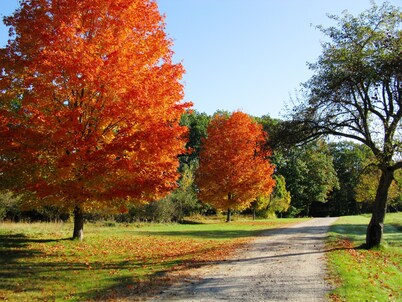 WINDABROOK Farm & Lodge - Recharge, Reset, Relax on 13 acres
