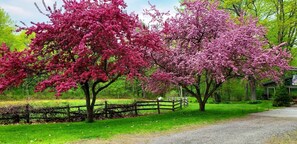 Overnattingsstedets uteområder