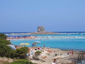 Beach - HOUSE WILL BE IDEAL FOR COUPLES LOCATED IN THE HEART OF THE HISTORIC CENTER OF ALGHERO (sardegna alghero)