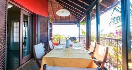 Terrasse avec vue sur le canal Teide WIFI + barbecue sauna piscine chauffée jardin