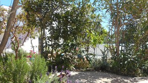 A garden with various plants and a paved area. - Typical Algarve House - Fuzeta, Arrroteia "Casas carpinteiro" (Tavira)