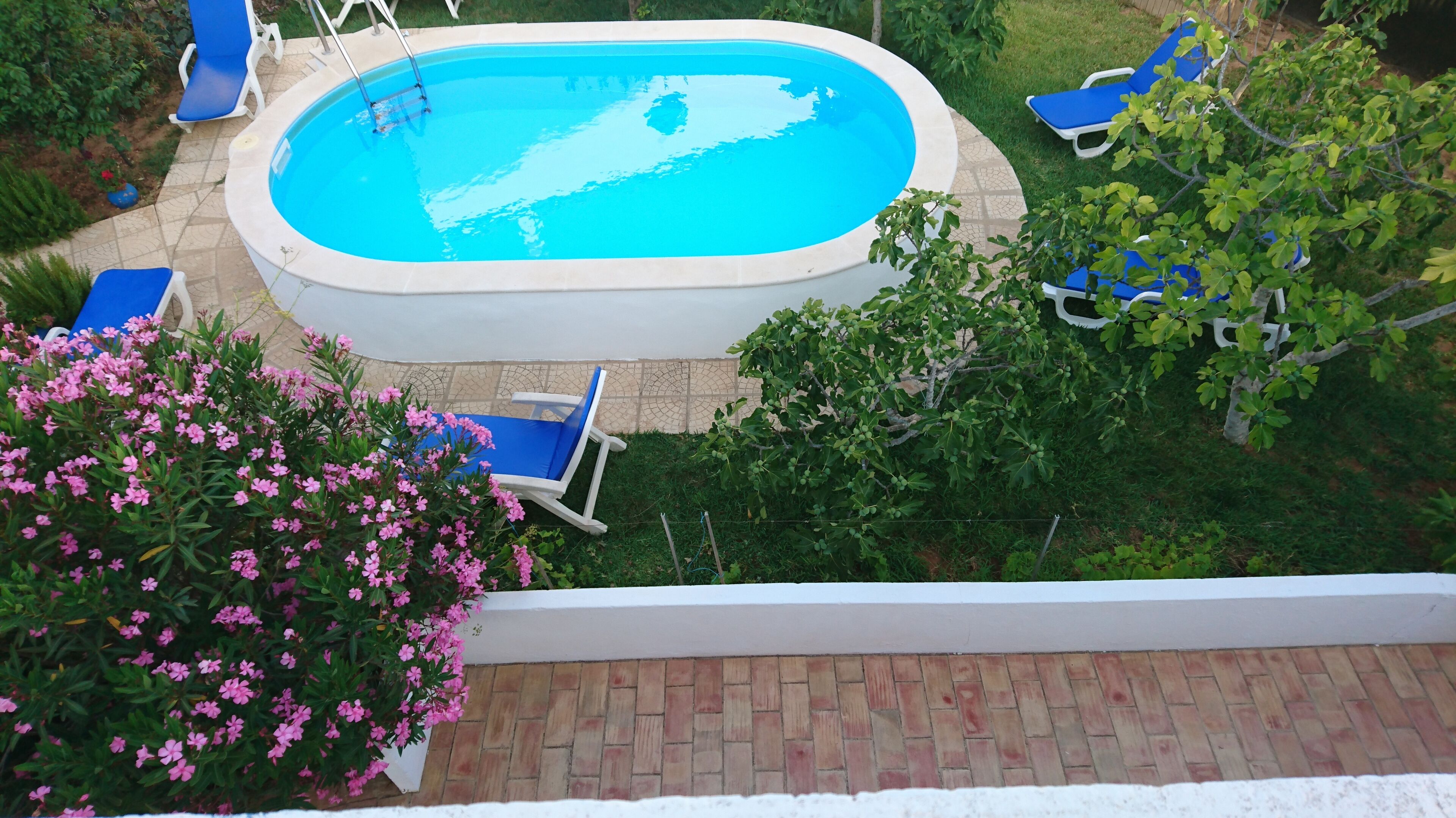 A swimming pool with blue water, surrounded by a brick patio and blue lounge chairs.