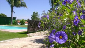A pool area with a pathway leading to a gate, surrounded by lush greenery and purple flowers.