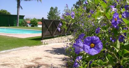 Maison de Famille, mi-chemin Lisboa/Fåtima, jardin et piscine privée