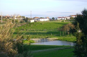 Photo non classée, 5 sur 54, bouton