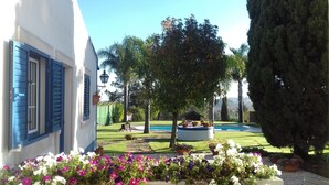 A well-maintained garden with a swimming pool, a lawn, and a variety of potted plants.