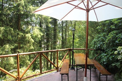Black Forest house in a secluded location with outdoor sauna included in the price 
