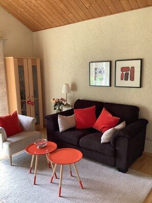 TV connectée, table de tennis de table, livres, chaîne hi-fi