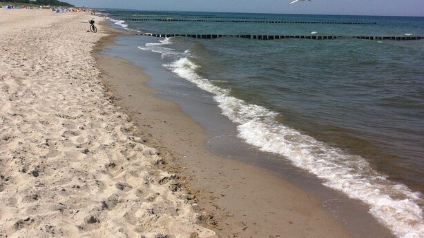 Een zandstrand met voetafdrukken, een fiets en een vliegende vogel.