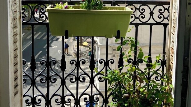 A balcony with wrought iron railings, a potted plant with flowers, and a view of buildings in the background. - Large Family Apartment in Paris (Paris)