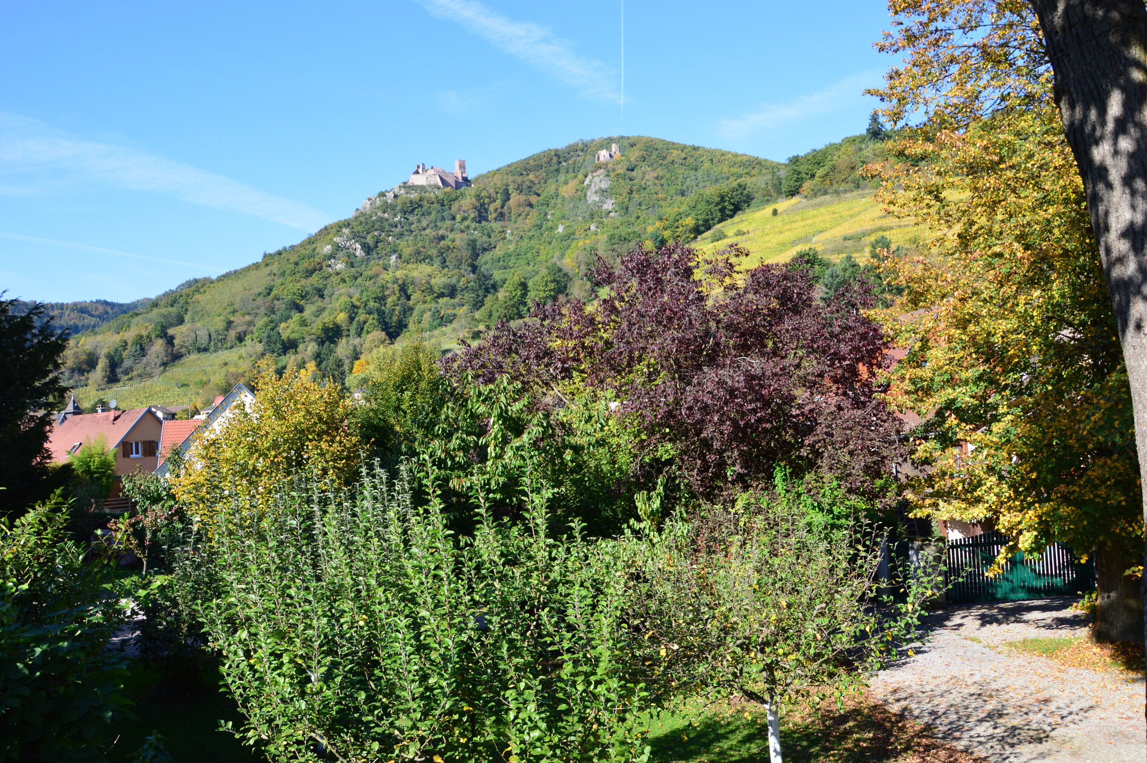 A hillside with a castle-like structure on top, surrounded by lush greenery and a clear sky.