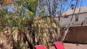 Three red lounge chairs with metal frames, arranged in a row on a well-maintained lawn with a brick wall and trees in the background.