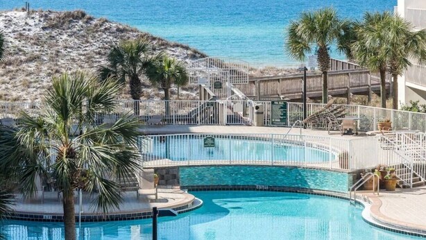 A pool with a curved design, surrounded by palm trees and a view of the ocean.