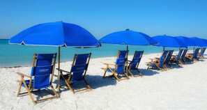 A beach with rows of blue beach chairs and umbrellas.