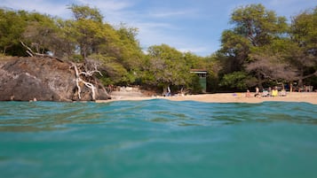 Rannalla, aurinkotuoleja, rantapyyhkeitä