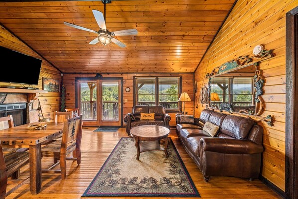 Smart TV, fireplace, DVD player, books