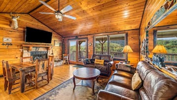 Smart TV, chimenea, reproductor de DVD y libros