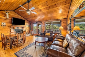 TV connectée, cheminée, lecteur de DVD, livres