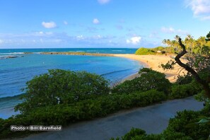 Sun loungers, beach towels - Turtle Bay  - Relax In Paradise 570010290183/CCH-0111 (Kahuku)