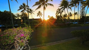 A sunset over a street lined with palm trees and a road with parked cars. - Turtle Bay  - Relax In Paradise 570010290183/CCH-0111 (Kahuku)