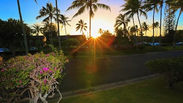 A sunset over a street lined with palm trees and a road with parked cars.