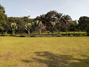 View from room - Philo Leisure Gardens (Bugala Island)