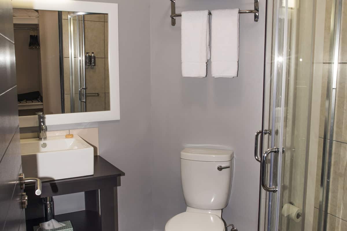 shower, free toiletries, slippers, towels