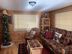 Smart TV, fireplace, Netflix, DVD player