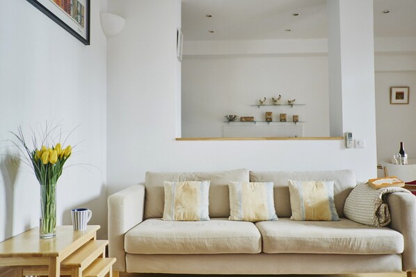 Smart TV, reproductor de DVD y libros 